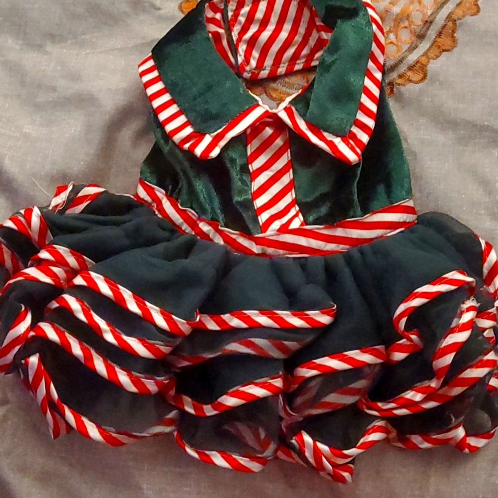 Dog Christmas Outfit